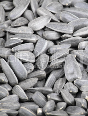 many of sunflower seeds