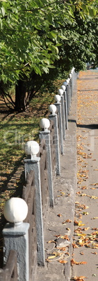 park in autumn