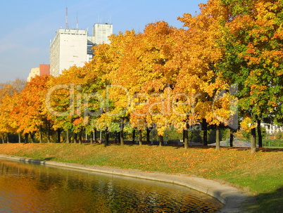 autumn in city park