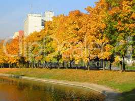 autumn in city park