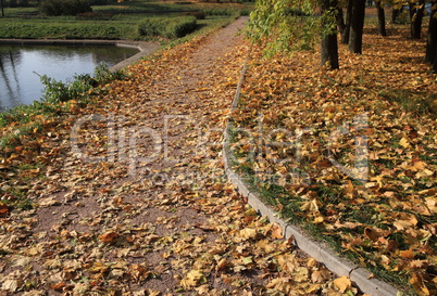 park in gold fall