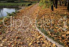 park in gold fall