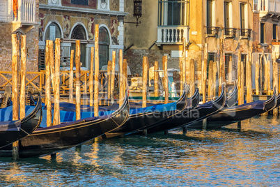 Gondolas moored in the Grand Canal of Venice, Italy