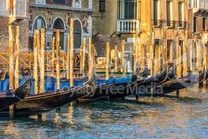 Gondolas moored in the Grand Canal of Venice, Italy