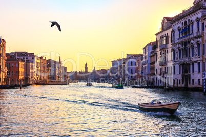 Grand Canal of Venice, beautiful view near the Rialto Bridge