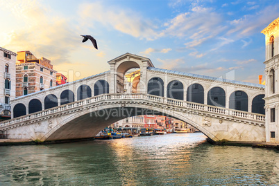 The Rialto Bridge in the quiet morning, no people, Venice, Italy
