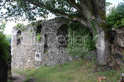 Burgruine Hohenberneck im Fichtelgebirge