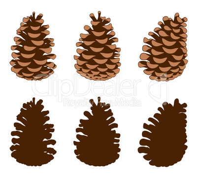 Group of different pine cones