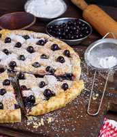 baked round black currant cake and powdered with icing sugar