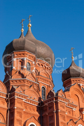 Domes of the assumption Cathedral. Winter Sunny day, blue sky in the background. Russia, Tula