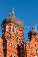 Domes of the assumption Cathedral. Winter Sunny day, blue sky in the background. Russia, Tula