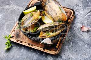Delicious seafood mussels