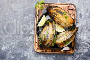 Delicious seafood mussels