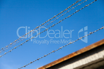 barb wire in front of blue sky