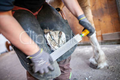 a blacksmith works on a horse hoof