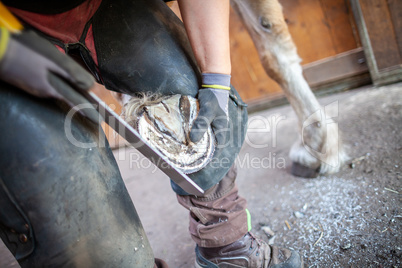 a blacksmith works on a horse hoof