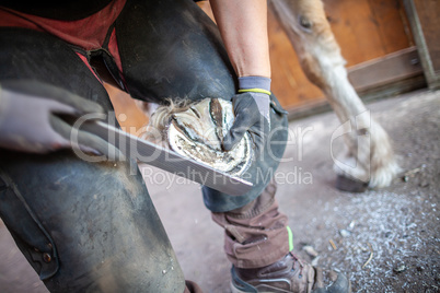 a blacksmith works on a horse hoof