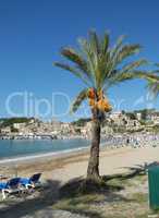 Strand von Port de Soller, Mallorca