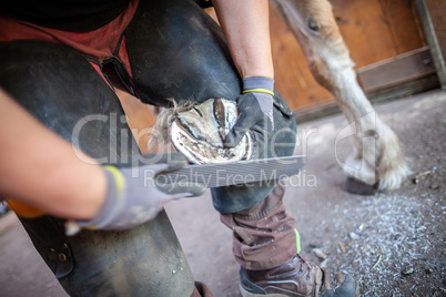 a blacksmith works on a horse hoof