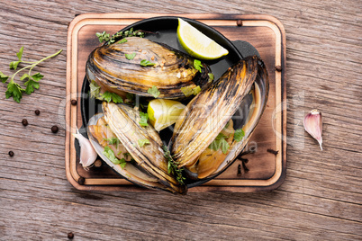 Delicious seafood mussels