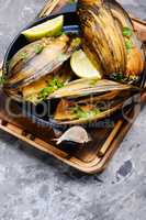 Delicious seafood mussels