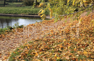 park in gold fall park in gold fall