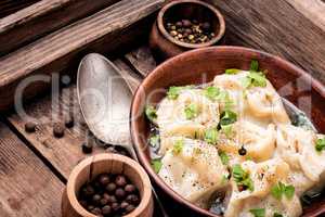 Homemade meat dumplings