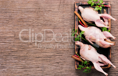 Raw quail with herbs