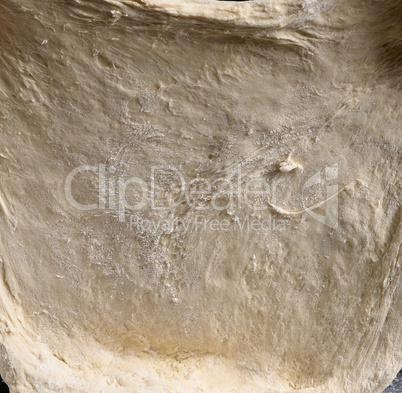 texture of kneaded yeast dough