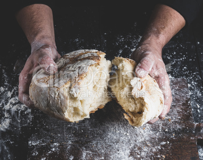 broken white bread in male hands