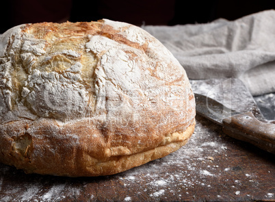 baked round white wheat bread