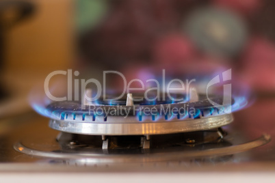 Gas stove with blue flame. Stove with a lit burner