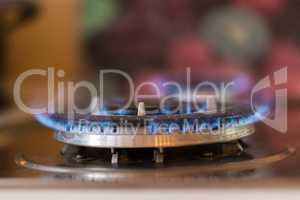 Gas stove with blue flame. Stove with a lit burner