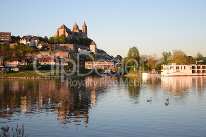 Rhein bei Breisach