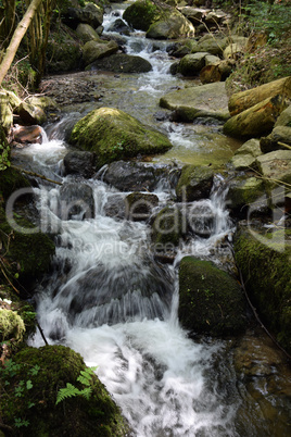 Gaishöll-Wasserfälle bei Sasbachwalden