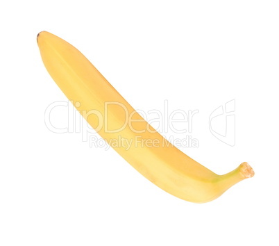 one raw Yellow Banana Isolated at dry sunny day