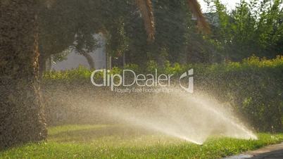 Automatic sprinklers watering green lawns