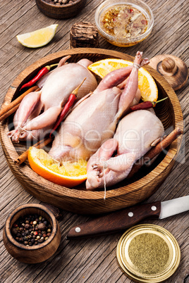 Whole raw quail in bowl