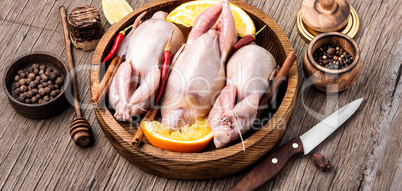 Whole raw quail in bowl