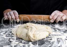 white wheat flour round dough