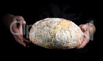 male chef hands hold a whole loaf of baked round bread