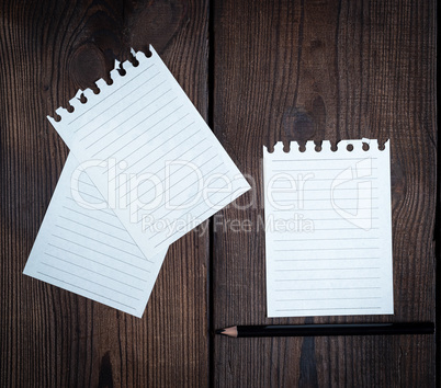 empty white sheets in a line torn out of notepad