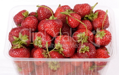 many Strawberry in plastic container