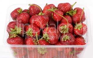 many Strawberry in plastic container