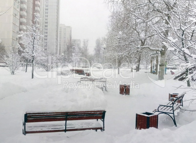 city park after snowfall at day