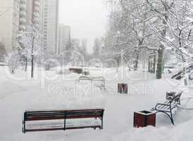 city park after snowfall at day