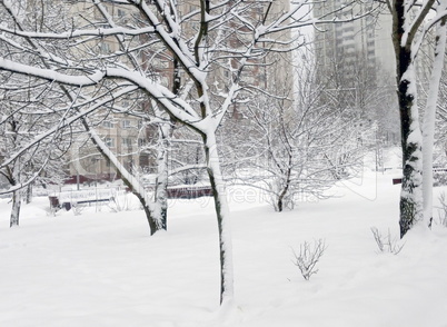 city park after snowfall at day