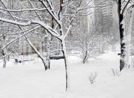 city park after snowfall at day