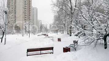 city park after snowfall at day