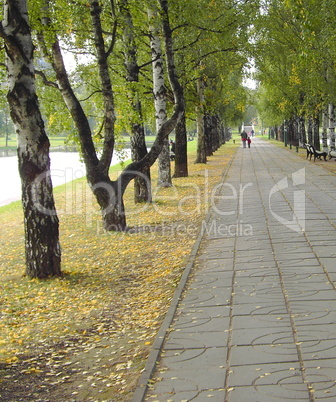 city park in autumn